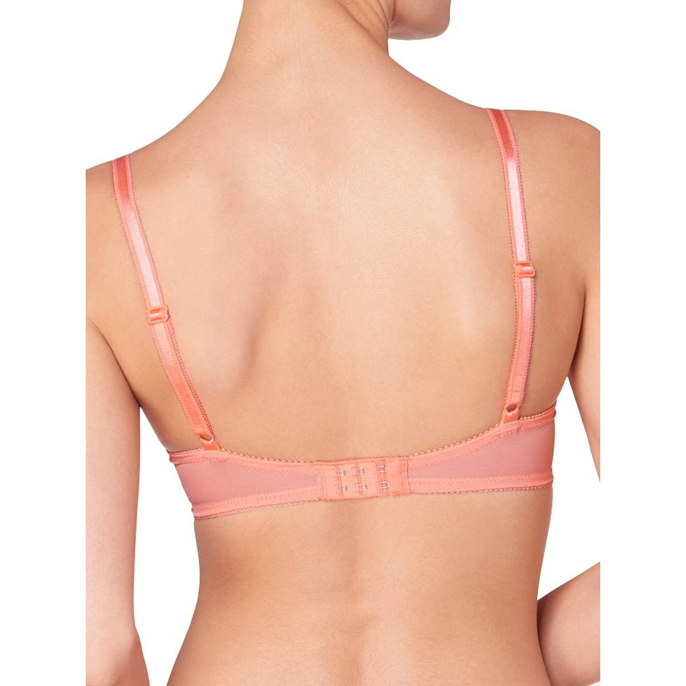 Triumph Amourette Spotlight W X Rosa Alcool