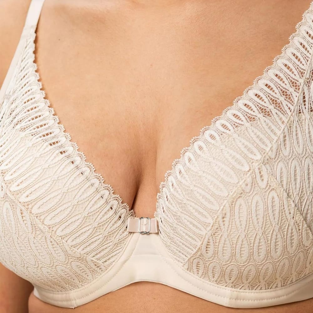 Triumph Aura Spotlight Wp Creamy Dream