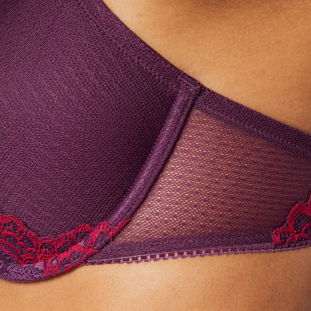 Triumph Darling Spotlight WHP Plum Purple