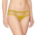 Triumph Darling Spotlight Brazilian Golden Lilly 