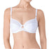 Triumph Azalea Florale W White 