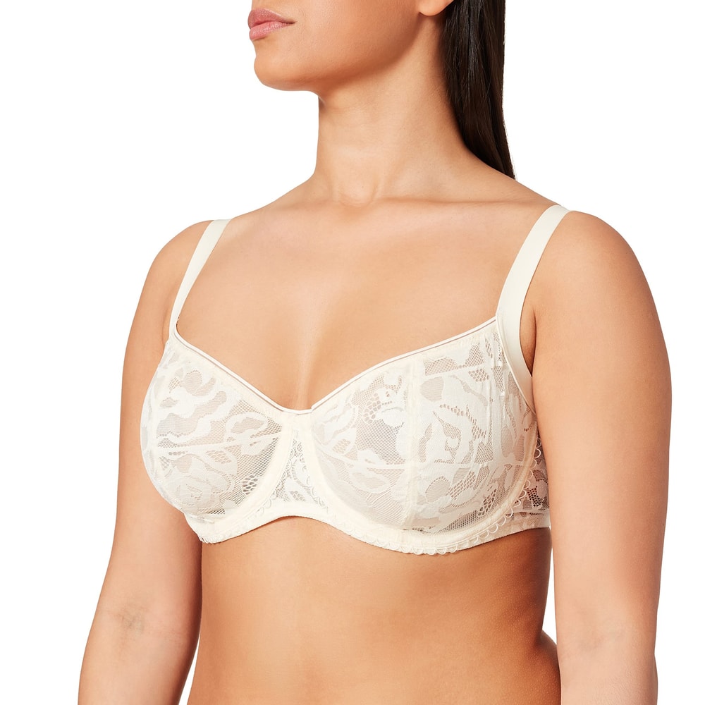 Triumph Illustrated Rose W New Vanilla 