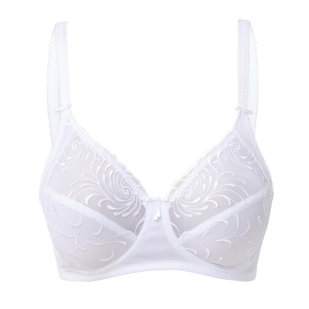 Triumph Modern Splendour N White