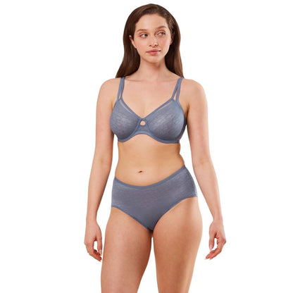 Triumph Signature Sheer W01 Ex Cloudy Blue 