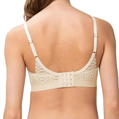 Triumph Aura Spotlight N Creamy Dream 