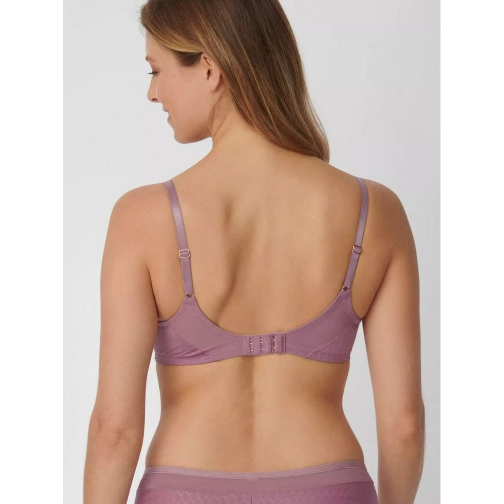 Triumph Azalea Florale WP Bourgogne 