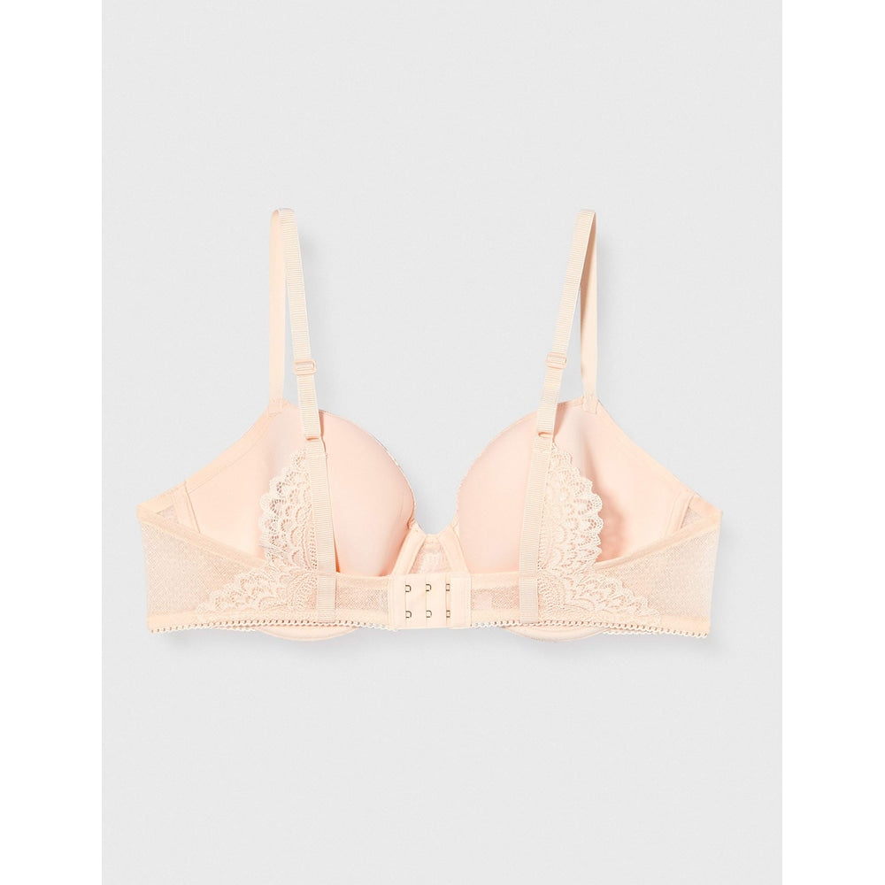 Triumph Darling Spotlight WHP Orange Highlight 