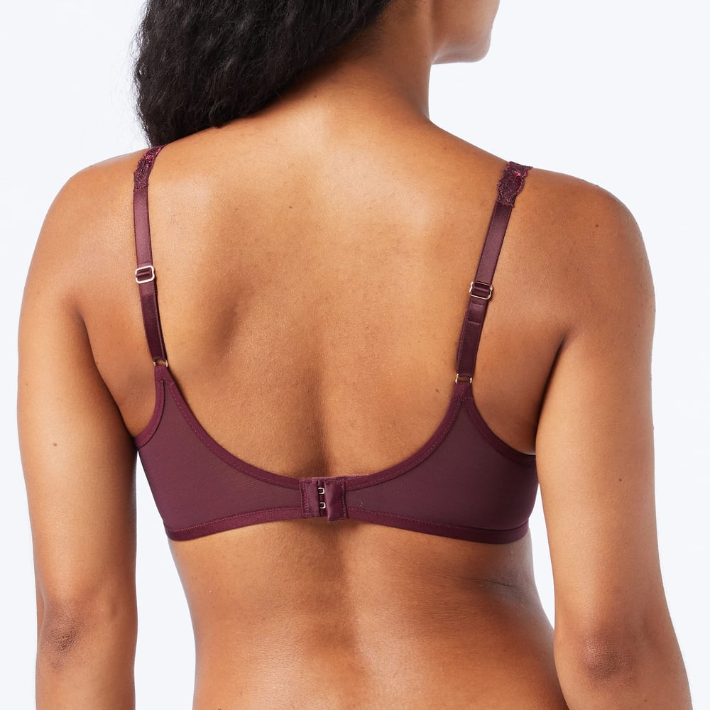 Triumph Freesia Florale W Deep Burgundy 