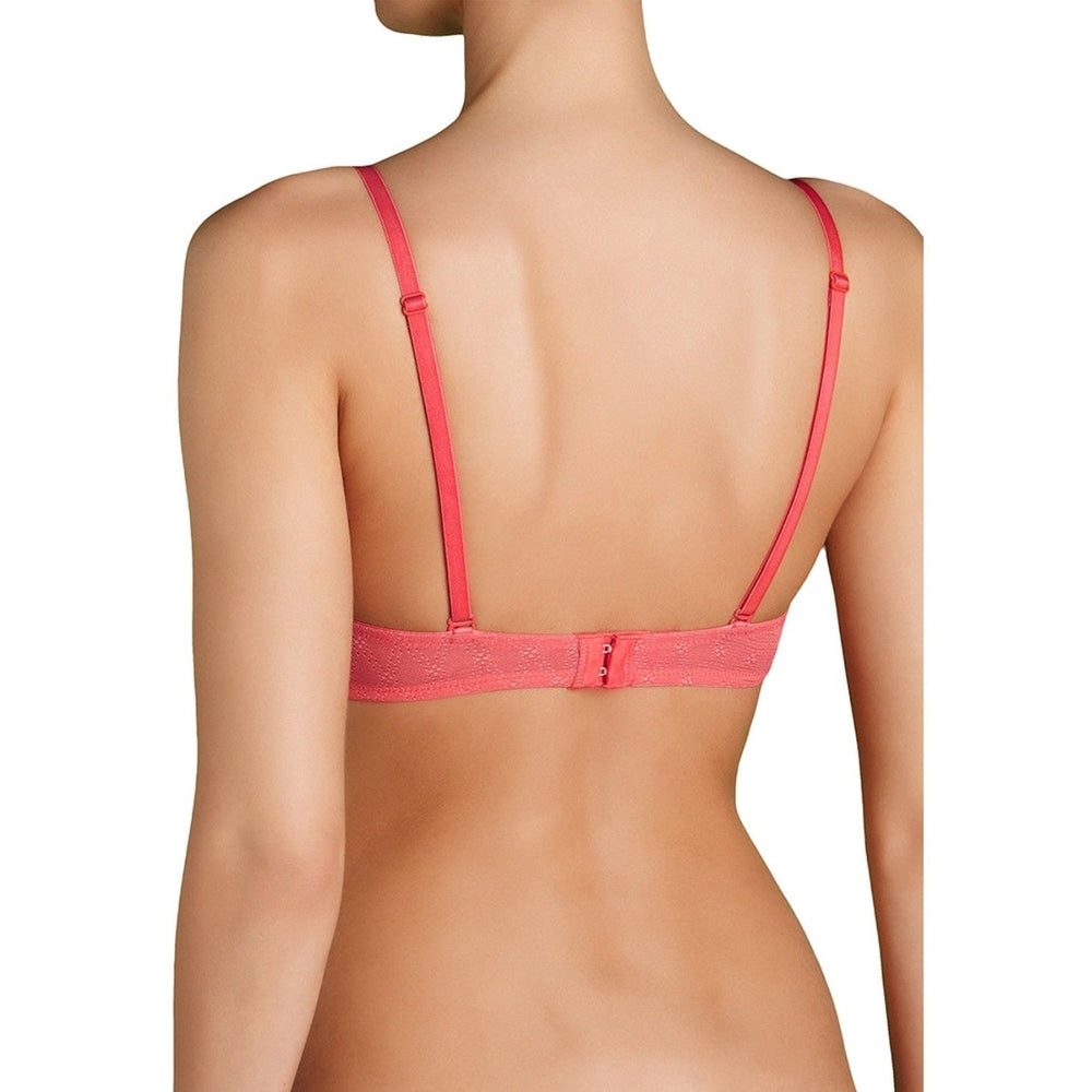 Triumph Sour WHUM Campari Orange 