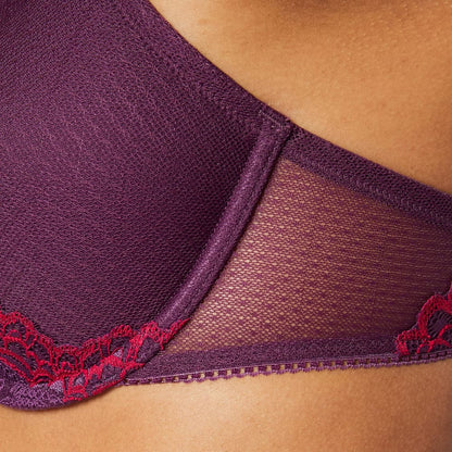 Triumph Darling Spotlight WHP Plum Purple 