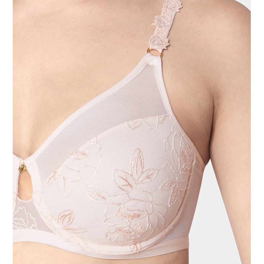 Triumph Wild Rose Florale W01 Orange Highlight 